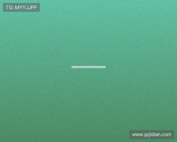 法甲中场新星崛起：技术、视野与控制力的完美结合